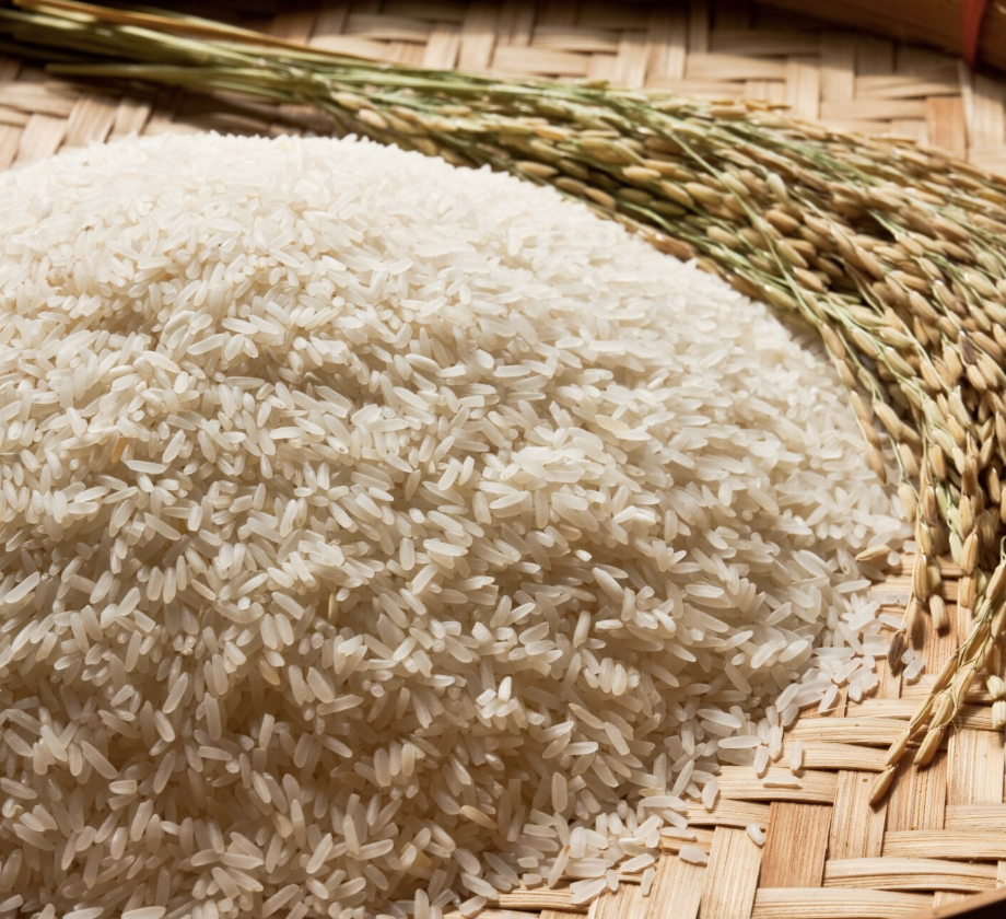 Weekly Commodity Insights: Rice